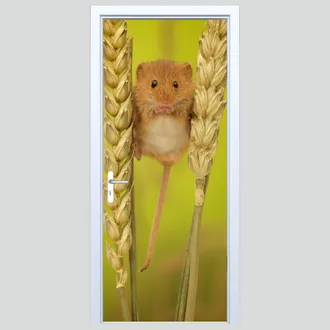OEM Adhesivo De Tela Para Puerta Con Dise&ntilde;o De Rat&oacute;n De Campo 233pd