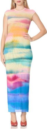 AFRM Mylo Print Mesh Maxi Dress in Summer Sunset at Nordstrom, Size Medium