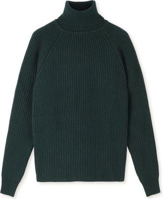 Fortela Oslo Merino Wool High Neck Sweater in Green at Nordstrom, Size Small Eu