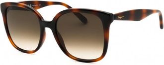 Ferragamo Brown Gradient Square Ladies Sunglasses SF1072S 240 56