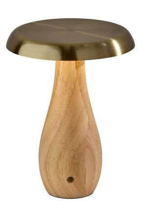 Adesso Naya Cordless LED Table Lamp in Natural at Nordstrom