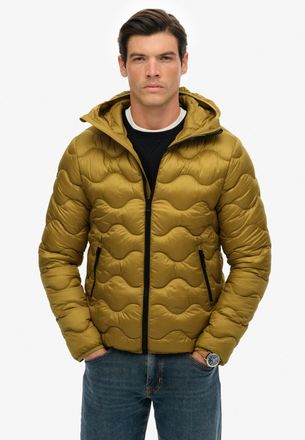 Superdry Steppjacke SUPERDRY HOODED QUILTED WAVE PADDED JKT, Herren, Gr. L, willow gr&uuml;n, Web, Obermaterial: 100% Polyester, unifarben, regular fit, Jacken Step