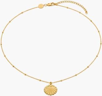 Yoj Conchigla Beaded Shell Choker Necklace in Gold at Nordstrom