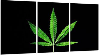 OEM Placa Protectora De Vidrio Para Estufa 3x30x52