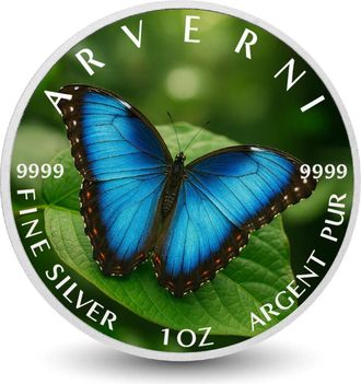 OEM Moneda De Plata Fina De 1 Oz alas De Pureza