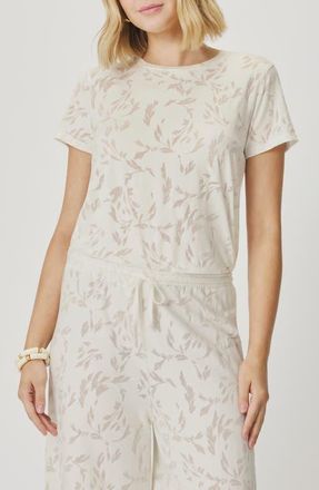 Splendid Air Burnout T-Shirt in Shell Windswept at Nordstrom, Size X-Large