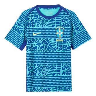 Nike Brazil Academy Soccer Jersey Blue FJ2723-445