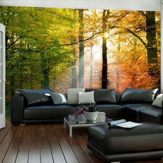 Artgeist Fotomurale - Bellautunno - 300x231