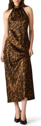 Steve Madden Alanah Leopard Print Halter Neck Midi Dress in Dark Toffee at Nordstrom, Size X-Large