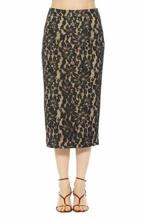 Alexia Admor Taye Lace Midi Pencil Skirt in Black at Nordstrom Rack, Size 10