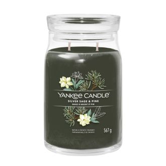 Yankee Candle Company Silver Sage Pine, candela giara grande Yankee Candle