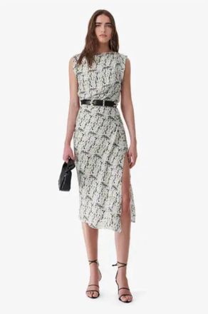 Iro Paris Rachelie Printed Silk Long Dress In Grey