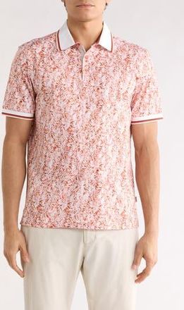 Bugatchi Pipe Trim Knit Polo in Paprika at Nordstrom Rack, Size Medium