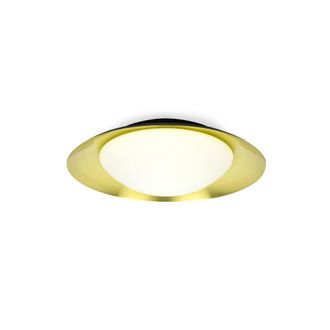 Netlighting Side LED Indoor Medium Flush Wall Light Black Gold