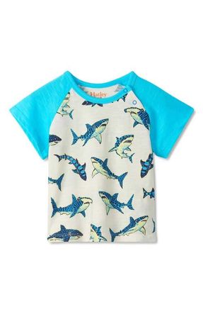 Hatley Kids Sharks Glow in the Dark Cotton Graphic T-Shirt in Glow In The Dark Sharks at Nordstrom, Size 12-18M