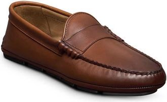 Allen Edmonds Apex Driving Loafer in Chili at Nordstrom, Size 11.5