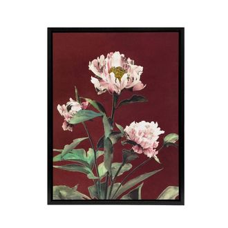 Artery8 Pink Herbaceous Peony Flower Framed Canvas Wall Art Print Ogawa Kazumasa in Red | Size: W24 x H32