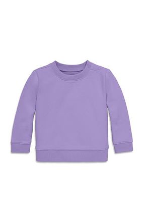 primary The New Baby Sweatshirt in Iris at Nordstrom, Size 18-24M