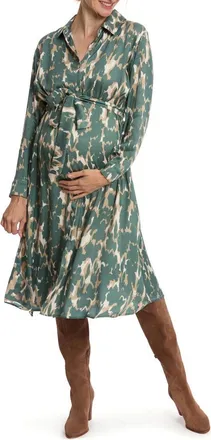 Cache Coeur Rym maternity and nursing shirt dress in Dark Green at Nordstrom, Size Xx-Large