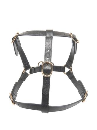 Gucci 2015-2020s leather dog harness - Zwart