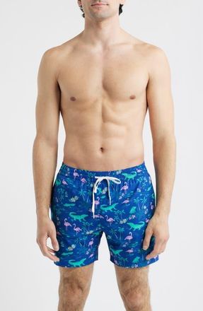 Chubbies The Swamp & Circumstance 5.5-Inch Swim Trunks in Bright Blue at Nordstrom, Size X-Large
