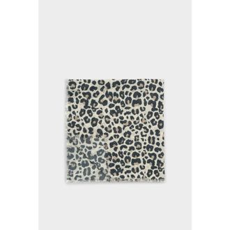Katie Loxton Leopard Printed Scarf in Taupe at Nordstrom