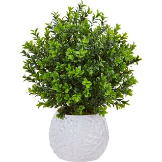 Nearly Natural Boxwood Evergreen Artificial Plant in White Vase at Nordstrom