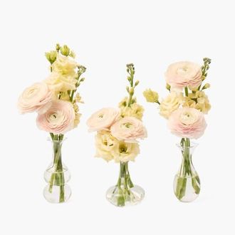 Mrs. Alice Esme Bud Vase Set in Clear at Nordstrom