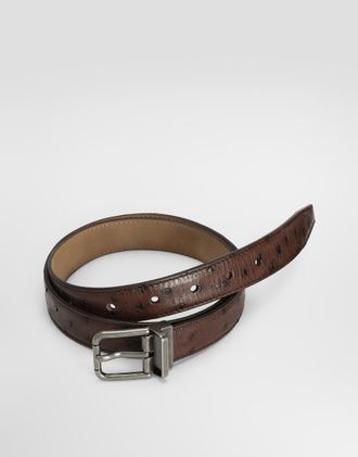 Dolce & Gabbana Ostrich Leather Belt - Man Belts Brown 105