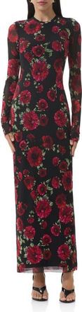 AFRM Didi Printed Long Sleeve Mesh Maxi Dress in Painted Roses at Nordstrom, Size X-Small