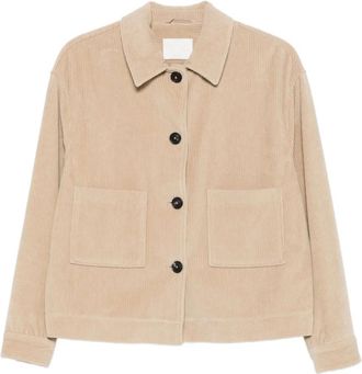 Circolo 1901 corduroy jacket - Neutrals