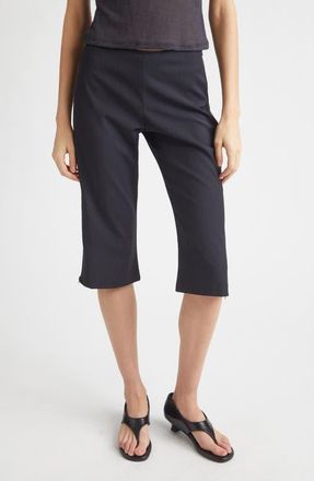 Paloma Wool Lumieti Pinstripe Side Zip Capri Pants in Dark Grey at Nordstrom, Size 12 Us