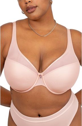 Curvy Couture Sheer Mesh Plunge T-Shirt Bra in Blushing Rose at Nordstrom, Size 38Ddd