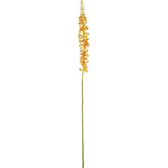 Napa Home & Garden Eremurus Artificial Stem 46 in Orange at Nordstrom