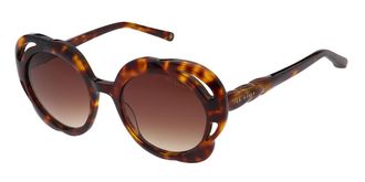 Ted Baker TB1772 Aurora 100 Womens Sunglasses Tortoiseshell Size 53