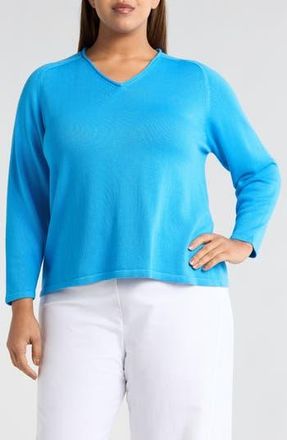 Eileen Fisher V-Neck Sweater in Azure at Nordstrom Rack, Size 3X