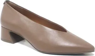 Gentle Souls Galleria Pointed Toe Pump in Loam Leather at Nordstrom, Size 8.5