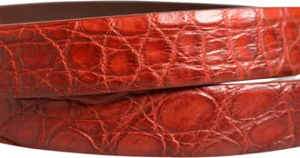 Dolce & Gabbana Red Leather Gold Tone Metal Buckle Men Belt Caiman