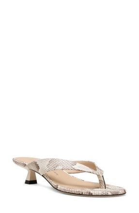 Stuart Weitzman Rio Kitten Heel Sandal in Cream at Nordstrom, Size 8.5