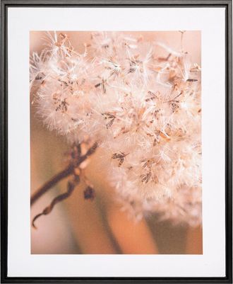 Creativ Home Bild mit Rahmen »Leinwandbild Pusteblume« 1 Stk. tlg. mit Rahmen