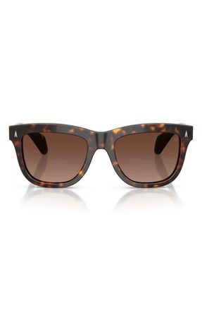 Moncler Bronzz 52mm Polarized Gradient Pillow Sunglasses in Havana /Polar Light Brown at Nordstrom