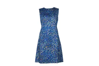 Erdem Erdem Floral Print A-Line Dress in Blue Cotton