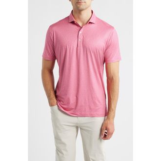 Johnnie-O Tini Dancer Martini Print Featherweight Performance Polo in Pink Lemonade at Nordstrom, Size Xx-Large