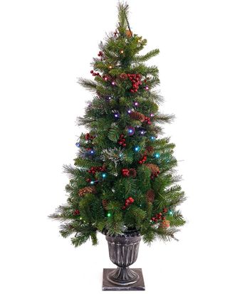National Tree Company 4Ft Crestwood Spruce Entrance Tree With Twinkly Led Lights