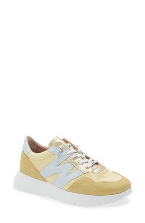 Wonders Lace-Up Platform Sneaker in Vanilla/Aura at Nordstrom, Size 5.5-6Us