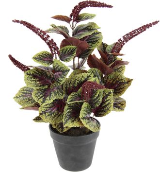 I.GE.A. Kunstpflanze