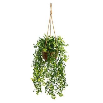 Nearly Natural 20-in Baby Tear Artificial Plant in Hanging Basket in Green at Nordstrom