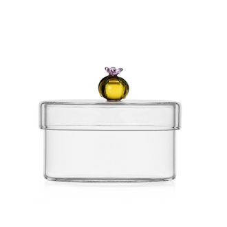 Ichendorf Caja de Plantas del Desierto Cactus Ámbar