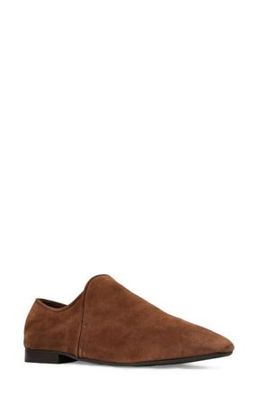 Aquatalia Revy Loafer in Brown Suede at Nordstrom, Size 10.5