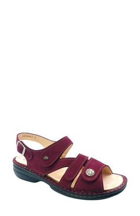 Finn Comfort Gomera Ankle Strap Slide Sandal in Rumba Nubuck at Nordstrom, Size 12Us